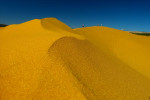 Coral Pink Sand Dunes State Park